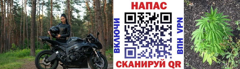 Как найти наркотики Белая Холуница Codein  Alpha PVP  Амфетамин  КОКАИН  Гашиш  МАРИХУАНА 