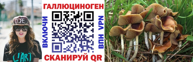 Галлюциногенные грибы мицелий  Белая Холуница 