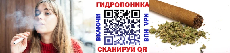 наркошоп  darknet наркотические препараты  Бошки марихуана ГИДРОПОН  Белая Холуница 